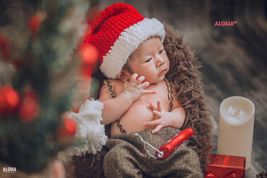 album ảnh giáng sinh newborn